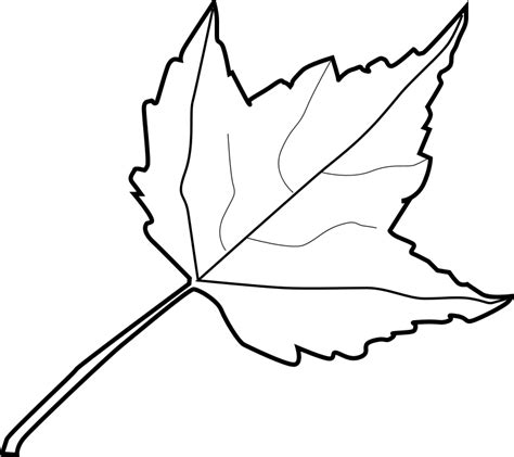 leaves coloring pages preschool  kindergarten plant leaves lessons plan