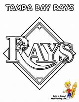 Cubs Rays sketch template