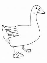 Goose Animals Printable Coloring sketch template