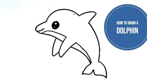 draw  easy dolphin step  step tutorial  kids