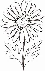 Marguerite Dessin Coloriage Dessiner Comment Fleur Fleurs Colorier Une Coloriages Sur Pour Les Choisir Tableau Un sketch template