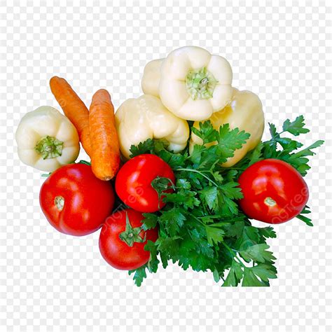 verduras en fondo transparente png dibujos verduras tomates
