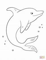 Coloring Dolphin Pages Cute Printable Drawing sketch template