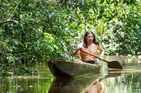 indigenous people are our best hope for saving the amazon rainforests