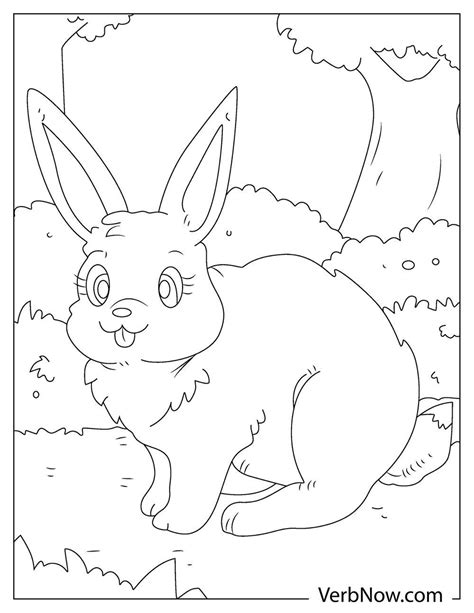 rabbit coloring pages book   printable  verbnow