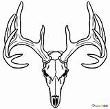 Deer Skull Draw Skeletons Webmaster автором обновлено May Drawdoo sketch template