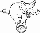 Circus Elephant Coloring Pages Drawing Color Kids Trunk Getdrawings Place sketch template