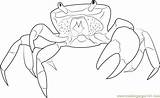Coloringpages101 Crabs sketch template