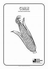Coloring Corn Pages Cool Vegetables Plants Print sketch template
