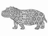 Hippo Coloring Zentangle Preview sketch template