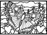 Dover Coloring Book Butterfly Musings Inkspired Gem Fancy sketch template