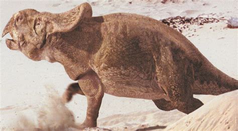 Protoceratops Walkingpedia Fandom Powered By Wikia