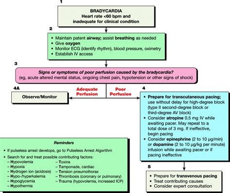 Part 7 3 Management Of Symptomatic Bradycardia And Tachycardia