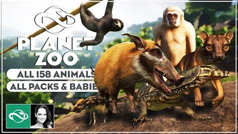 animals babies  official planet zoo animal youtube