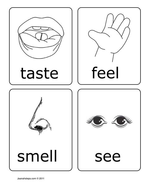 senses cards kindergarten worksheets  senses worksheet senses