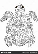 Tortue Volwassenen Kleurplaten Adulte Adultes Turtle Zeeschildpad Kleurplaat Schildpad Hawaiian Stockillustratie Stockvector Ausmalen Schildkröte Greatestcoloringbook Zen Erwachsene Vectorielle Coloration Vecteur sketch template