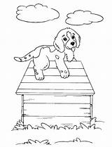 Coloring Cachorrinhos Mewarnai Gambar Sketsa Anak Anjing Lucu Lainnya sketch template