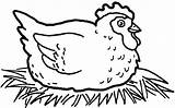 Coloring Pages Hen Chicken Fried Little Red Kids Printable Getcolorings Color Print Tasty Getdrawings Colorings sketch template