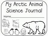 Coloring Arctic Animals Pages Animal Printable Kids Colouring Science Polar Book Quality High Print Pole North Coloringhome Choose Board Bear sketch template