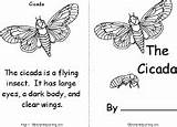 Cicada Book Printable Animals Cycle Life Insect Enchantedlearning Readers Animal Books Printouts Insects Early Print Bugs Introduction Cover Choose Board sketch template