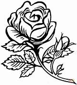 Roses Printable Clipart Clip Coloring Pages sketch template