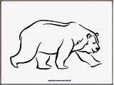 Mewarnai Gambar Beruang Coloring sketch template