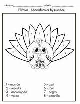 Pavo Worksheets sketch template