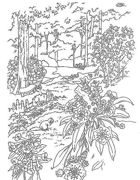 flower garden coloring pages printable  boyama sayfalari desenler