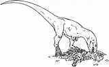 Dinosaurs Discovermagazine Eaten Bones Marks Bite Juvenile sketch template
