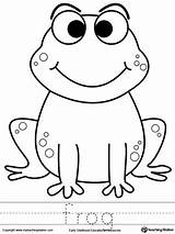 Frog Coloring Word Tracing Trace Drawing Worksheet Color sketch template