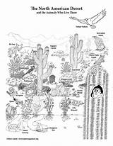 Giant Poster Building Desert Activity Coloring North American sketch template