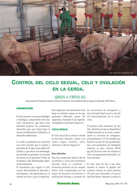 Pdf Control Del Ciclo Sexual Celo Y OvulaciÓn En La Cerda