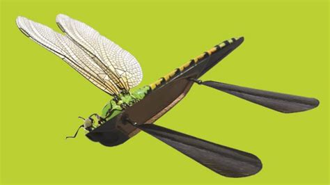 skeeter drone inspired  dragonflys turbulence resistant wings dronedj
