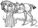 Horsemanship Theequinest sketch template