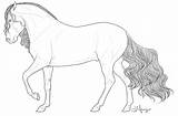 Fino Gaited Stallion sketch template