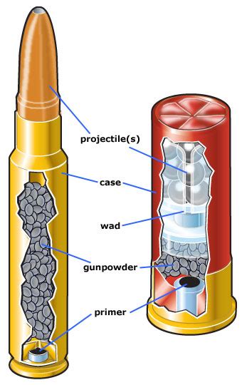 Basic Components Of Ammunition Or Hunter ™