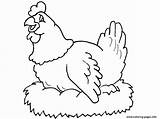 Hen Coloring Farm Animal Pages Printable sketch template