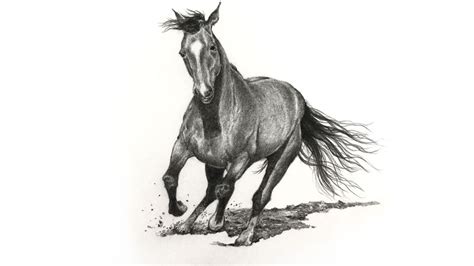 draw  horse graphite pencils