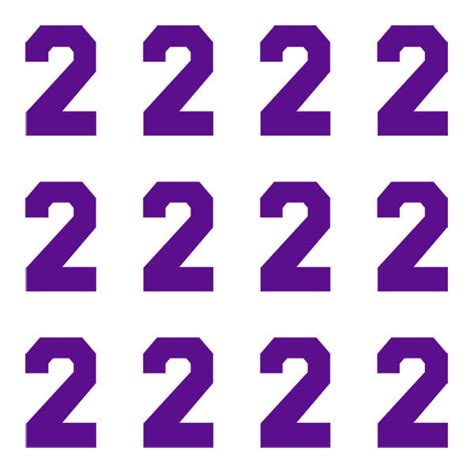 varsity pro large purple number  idgear