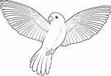 Parrot Coloring Pages Flying Printable Bird Birds Coloringme Colour Drawing Draw Drawings sketch template