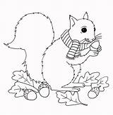 Autumn Colouring Squirrel sketch template
