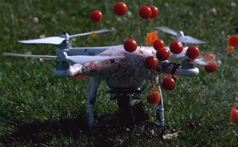 la triste storia del drone che voleva essere  frullatore smartworld