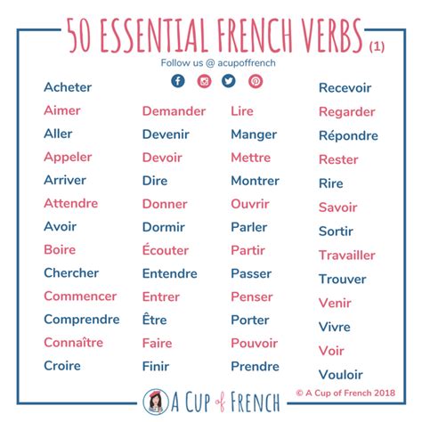 essential french verbs  cup  french basic french words learn french french flashcards