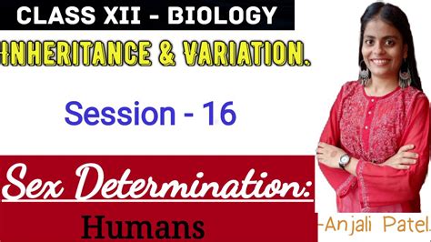 Class Xii Biology Inheritance And Variation Sex Determination In