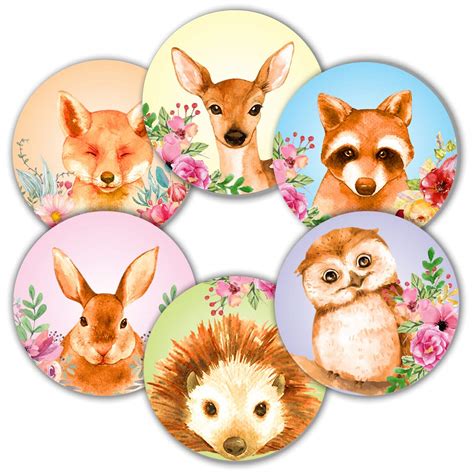 buy woodland animals stickers seals labels pack    large