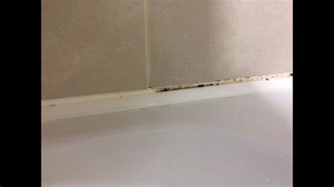 remove mold mould  silicone sealant  bathroom shower