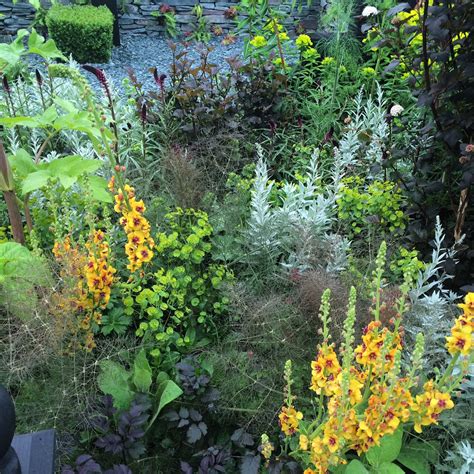 plant  border   pro  middle sized garden gardening blog