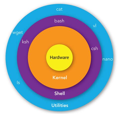 shell scripting tutorial  beginners   shell scripting