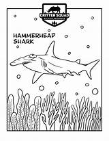 Hammerhead Shark sketch template