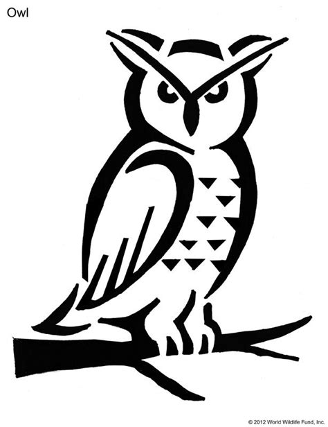 owl stencil google search stencils pinterest owl pumpkin